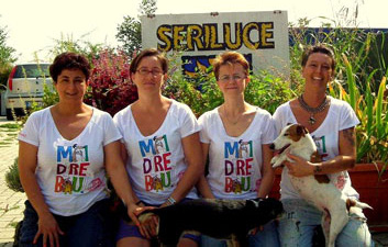 Staff Seriluce